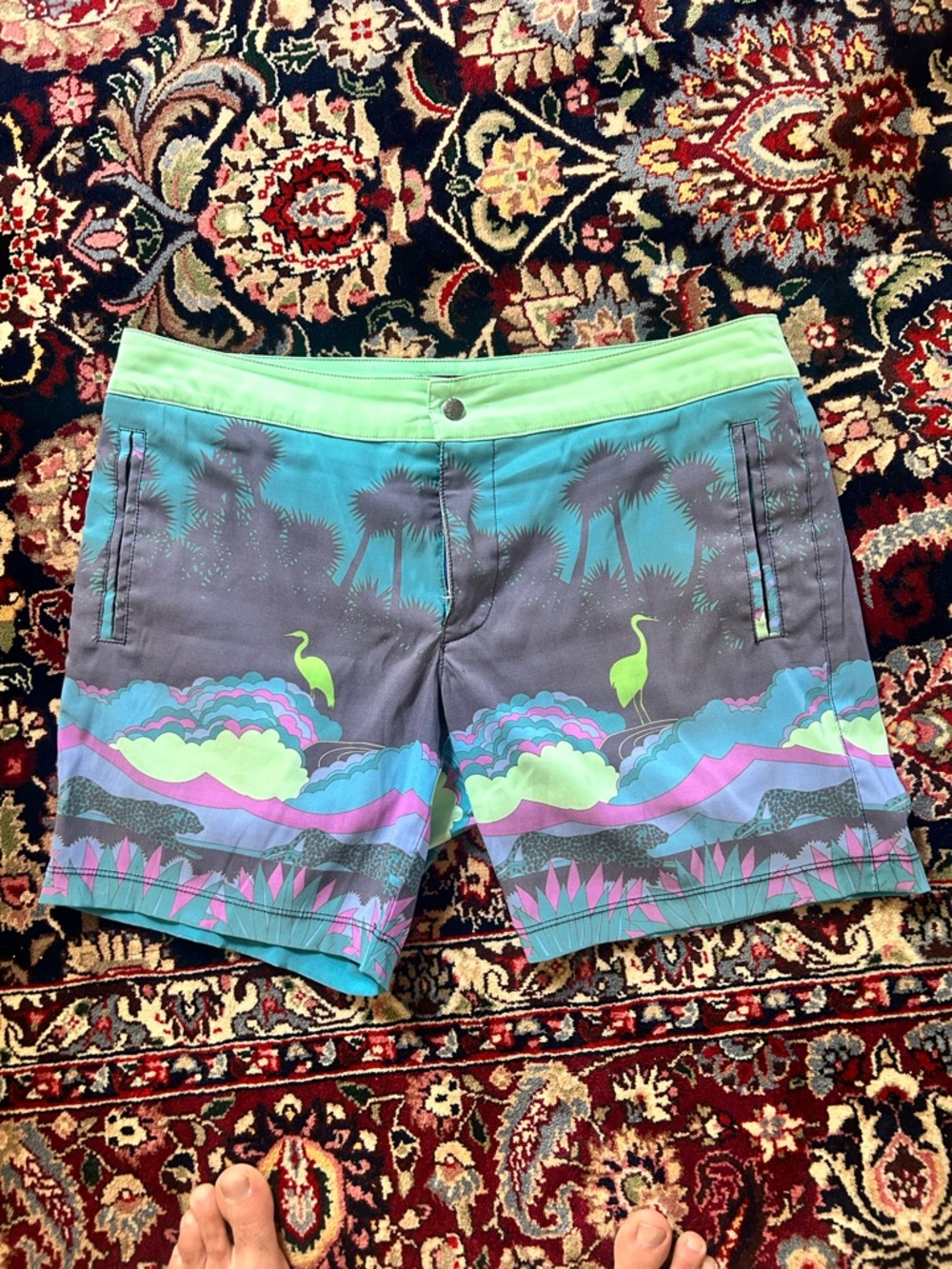 Mr Turk Tropical Graphic Swim Shorts in Teal, Lime & Purple cheetahs and storks